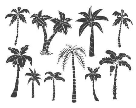 Silhouettes of hand drawn palms trees. Stock Illustration