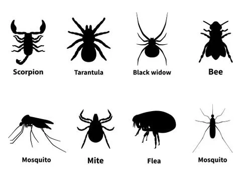 Silhouettes of harmful stinging insects Stock Illustration
