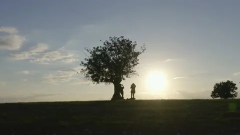 Silhouettes of hikers standing under tree and relaxing in nature Stock Footage 130904919