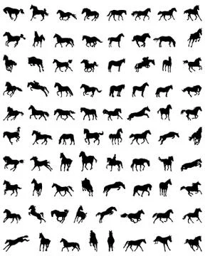 Silhouettes of horses Stock Illustration