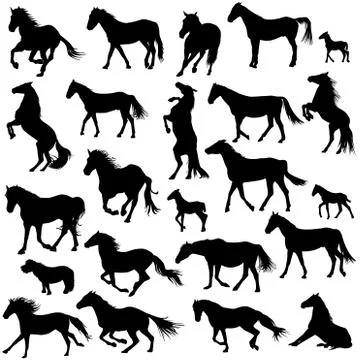 Silhouettes of horses Stock Illustration