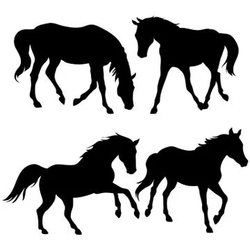 Silhouettes of horses - vector Иллюстрация