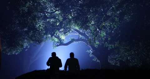 Silhouettes at Huge Tree Night time Stock Footage 144694770