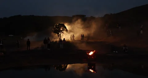 Silhouettes at Huge Tree Night time 库存影片 335434760