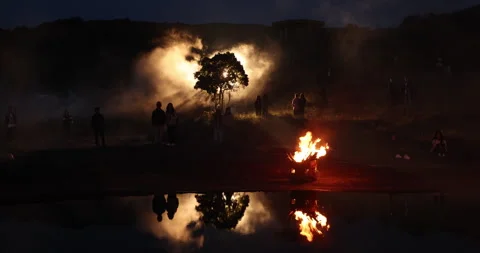 Silhouettes at Huge Tree Night time Stock Footage 335434899