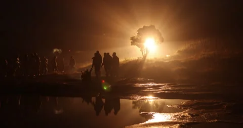 Silhouettes at Huge Tree Night time 库存影片 335497515