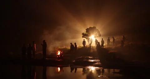 Silhouettes at Huge Tree Night time Vídeo Stock 335497650
