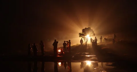 Silhouettes at Huge Tree Night time Видео 335497710