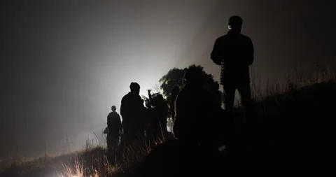 Silhouettes at Huge Tree Night time Stock Footage 340126370