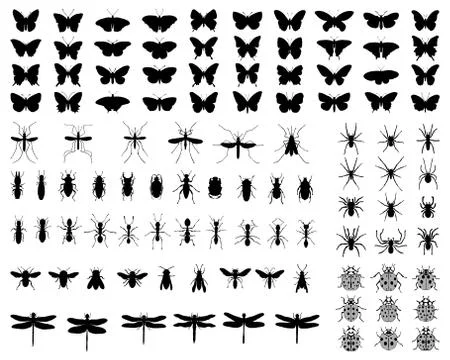 Silhouettes of insects Stock Illustration