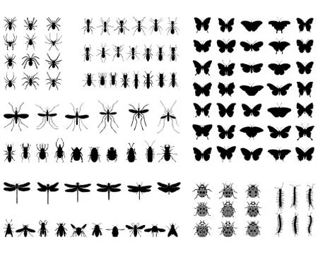 Silhouettes of  insects Stock Illustration