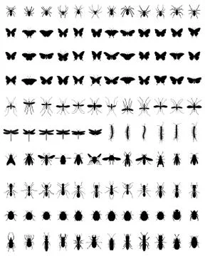 Silhouettes of insects Stock Illustration