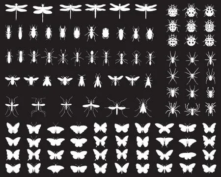 Silhouettes of insects Stock Illustration