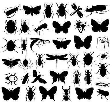 Silhouettes of insects Stock Photos