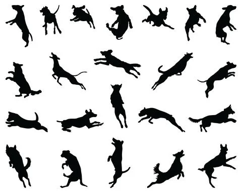 Silhouettes of jumping dogs Stock Illustration