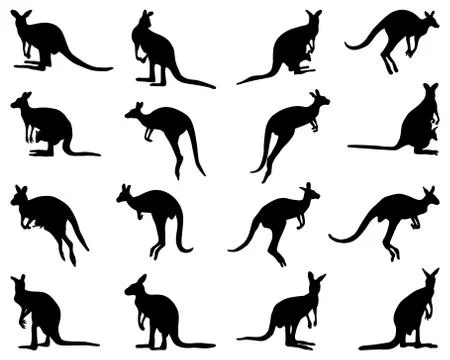 Silhouettes of kangaroo Stock Illustration