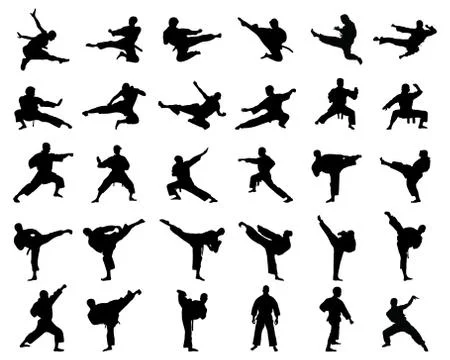Silhouettes of karate fighting Stock Illustration