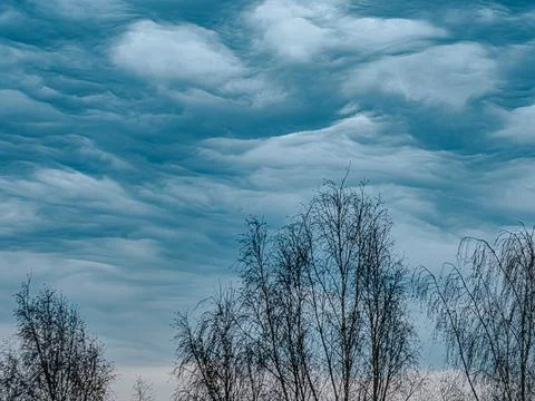 Silhouettes of leafless trees stand under a moody sky filled with layered. Stock Photos