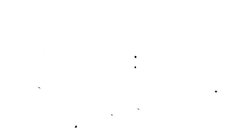 Silhouettes of Migrating Birds in motion in the sky or Birds flying flock Stock Footage 329053283