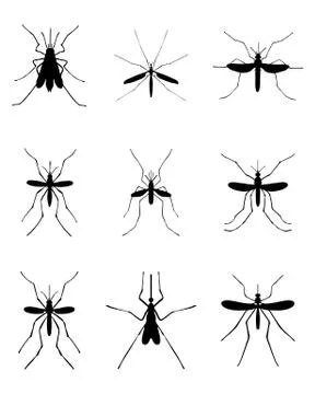 Silhouettes of mosquito Stock Illustration