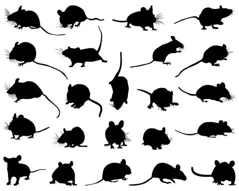 Silhouettes of mouses Stock Illustration