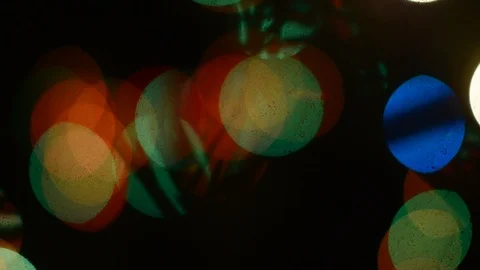 Silhouettes of needles on the branches of a spruce tree shake in the wind. Stock Footage 120146089