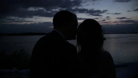The silhouettes of the newlyweds on the background of the river Stock Footage 81319976
