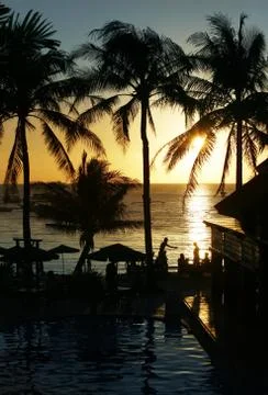 Silhouettes of palm Stock Photos