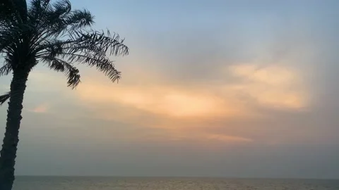 Silhouettes of palm tree on ocean beach over sunset background Stock Footage 130876525