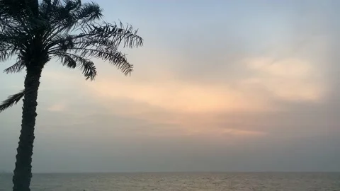 Silhouettes of palm tree on ocean beach over sunset background Stock Footage 130876528