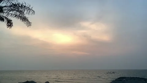Silhouettes of palm tree on ocean beach over sunset background Video stock 130876599
