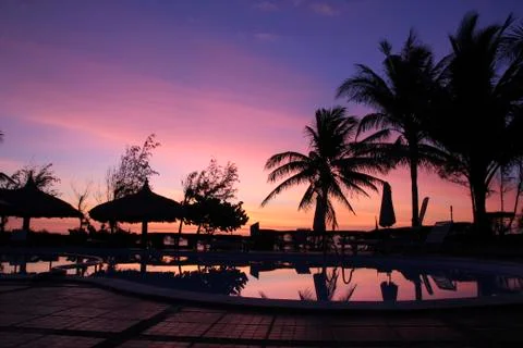 Silhouettes of palm trees and a pool on a background of purple sunset. Stock Photos