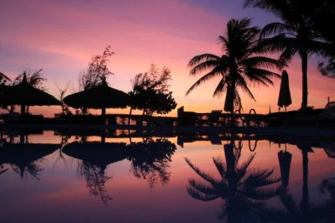 Silhouettes of palm trees and a pool on a background of purple sunset. Stock Photos