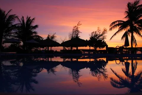 Silhouettes of palm trees and a pool on a background of purple sunset. Stock Photos