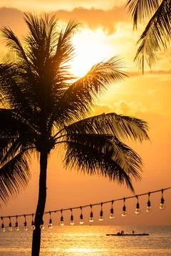 Silhouettes of Palm Trees and String Lights at Tropical Sunset Photos