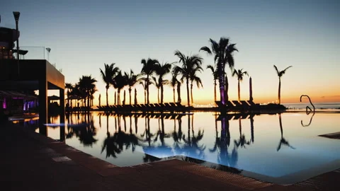 Silhouettes of palm trees reflected in pool water against the sky. Tropical Stock Footage 239712940