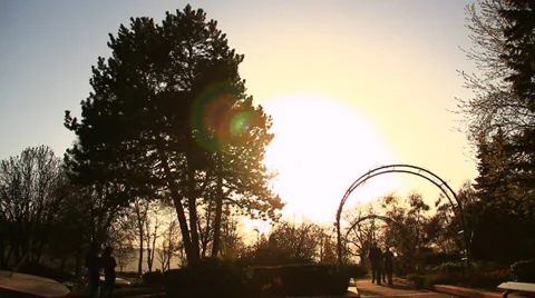 Silhouettes in the park Stock Footage 39847715