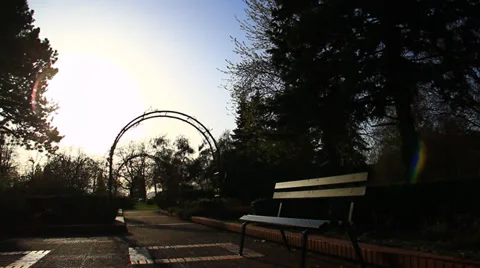 Silhouettes in the park Stock Footage 39847716