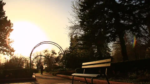 Silhouettes in the park Stock Footage 39847735