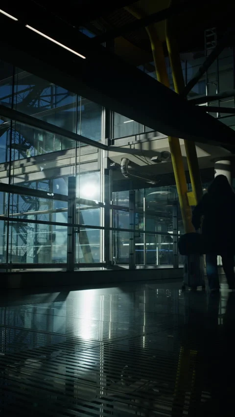 Silhouettes of passengers walking through modern airport terminal Stock Footage 322960911