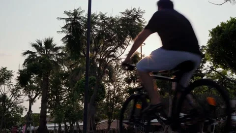 Silhouettes of passing cyclists against the backdrop of the setting sun and palm Stock Footage 201215818