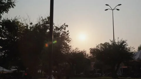 Silhouettes of passing rollers against the backdrop of the setting sun and palm Stock Footage 201215689