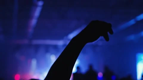 Silhouettes of people jumping, waving, taking photos or recording videos of a li Stock Footage 258345011
