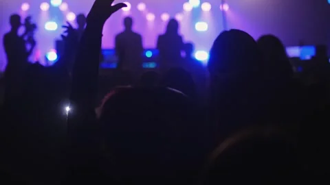 Silhouettes of people jumping, waving, taking photos or recording videos of a li 스톡 동영상 258345065