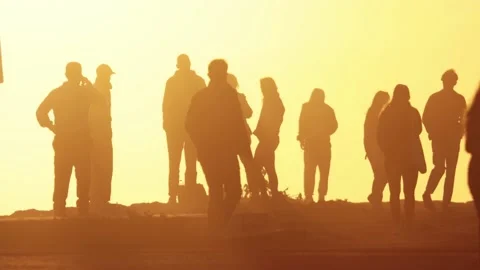 Silhouettes of people in the light of sunset Stock Footage 237712410
