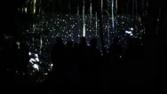 Silhouettes Of People Looking Lights Show In Dark Forest At Night Stock Footage