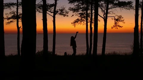 Silhouettes of people at sunset trees and sea Vídeo Stock 80050618