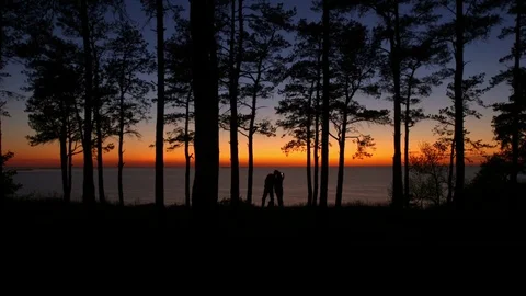 Silhouettes of people at sunset trees and sea Stock Footage 80050700