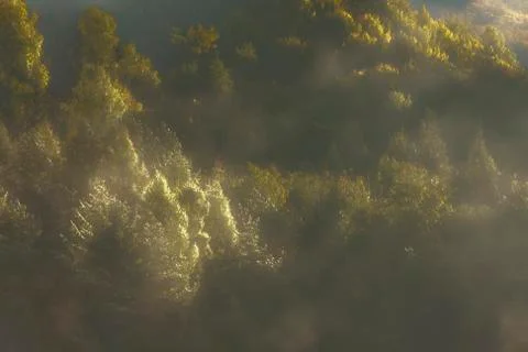 Silhouettes Foto stock