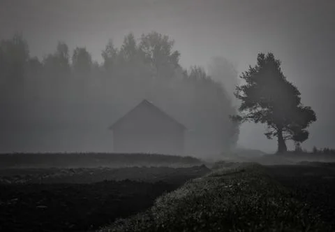 Silhouettes Stock Photos